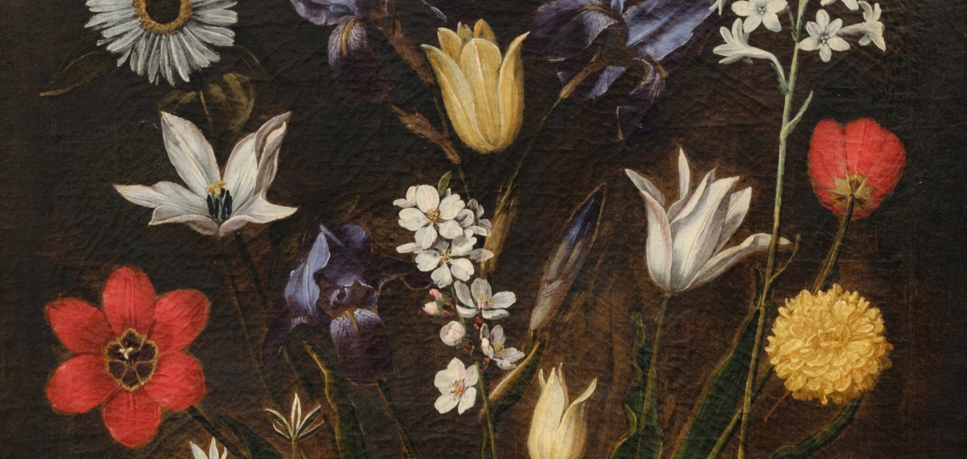 most-suitable-subject-woman