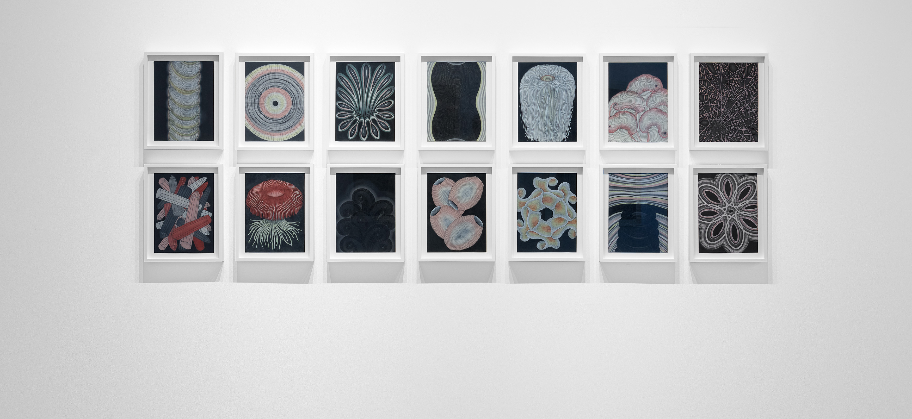 Nancy Blum: The Black Drawings