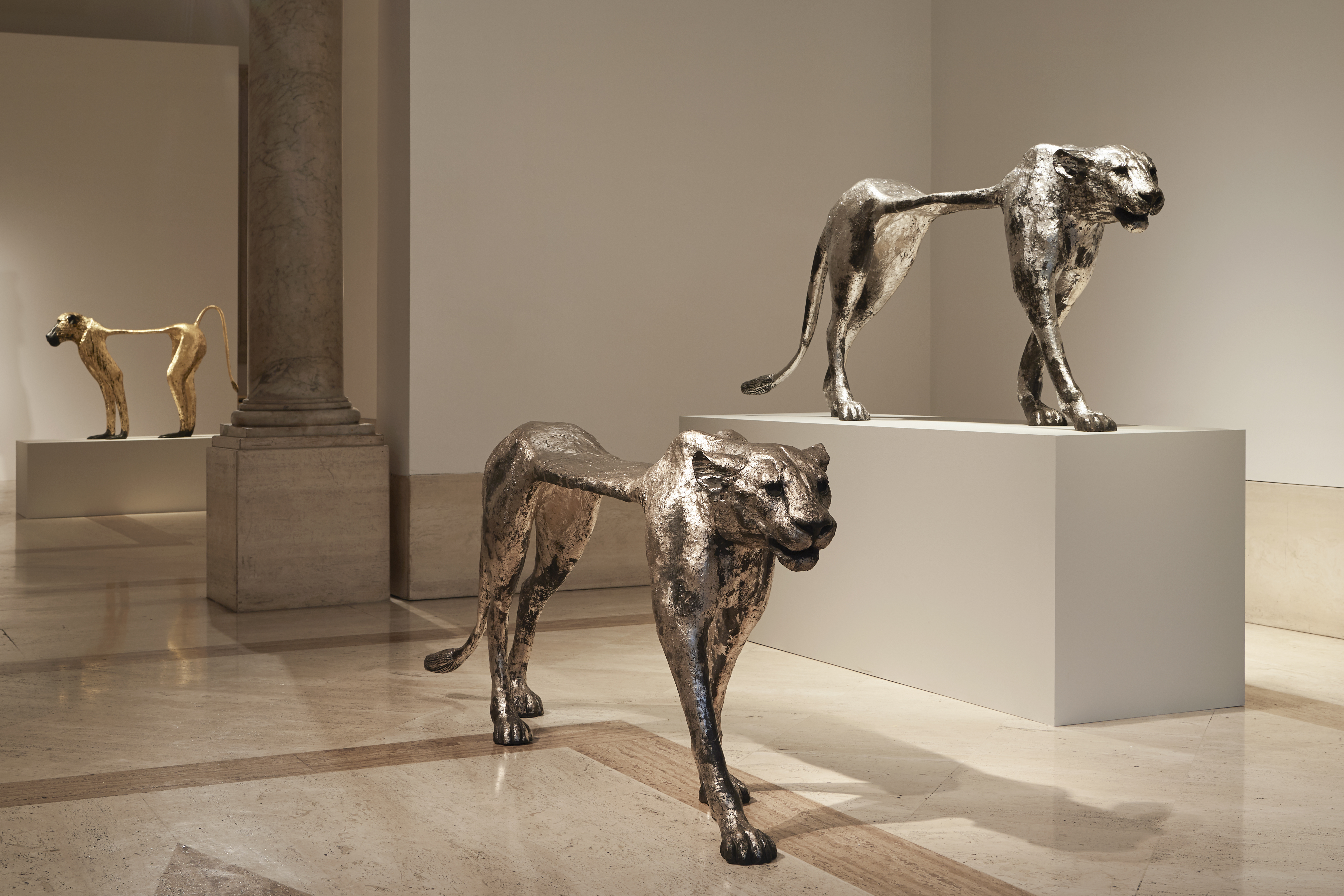 Harumi Klossowska de Rola: Hayawan